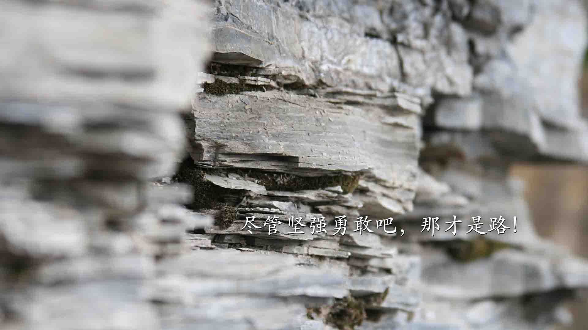 AYX GAME-“趣味大集合：球场上的爆笑瞬间大曝光”，球赛搞笑视频