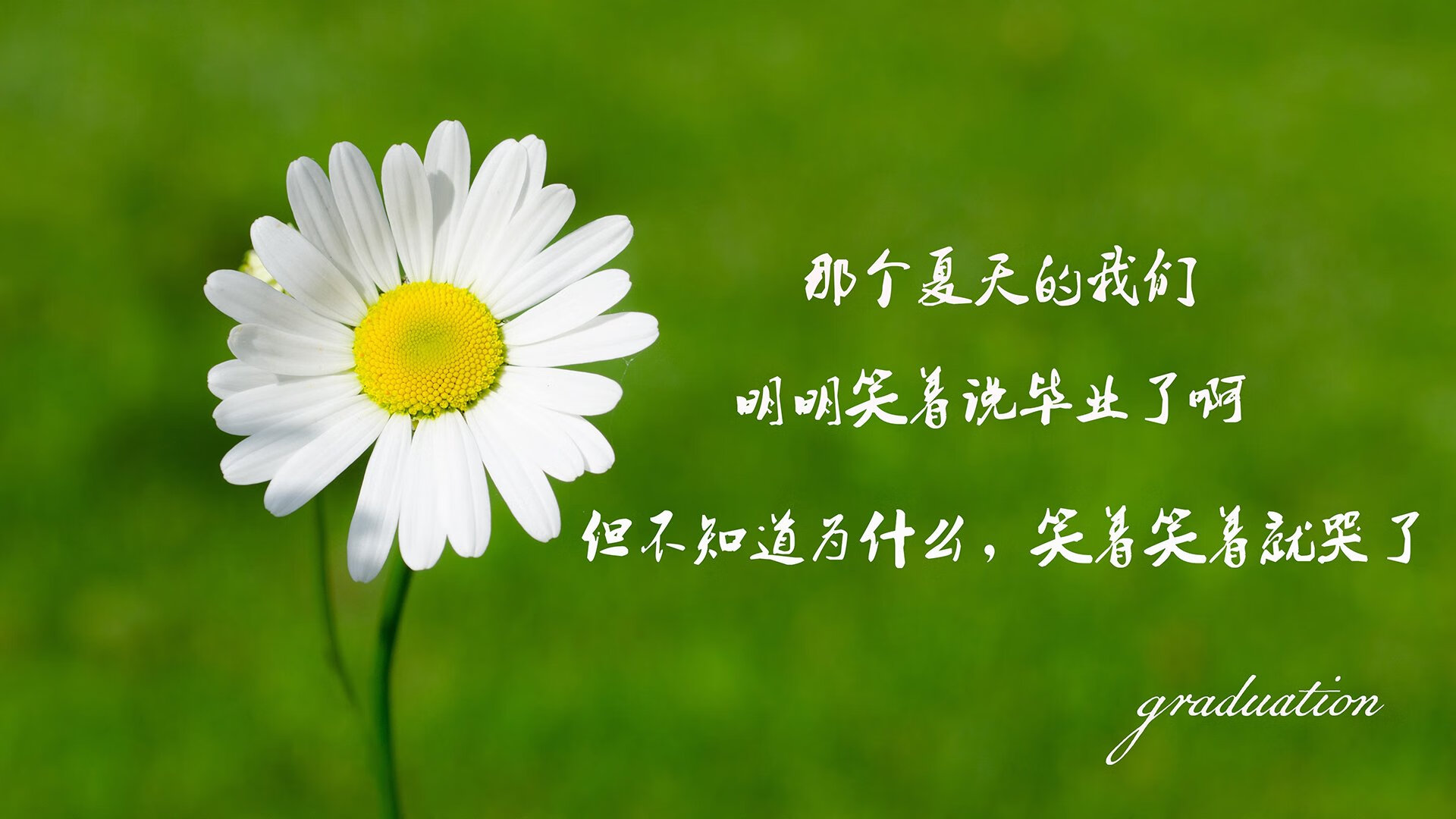 哥伦比亚女足在巴黎奥运会比赛中表现出色，赢得奖牌，哥伦比亚 男足