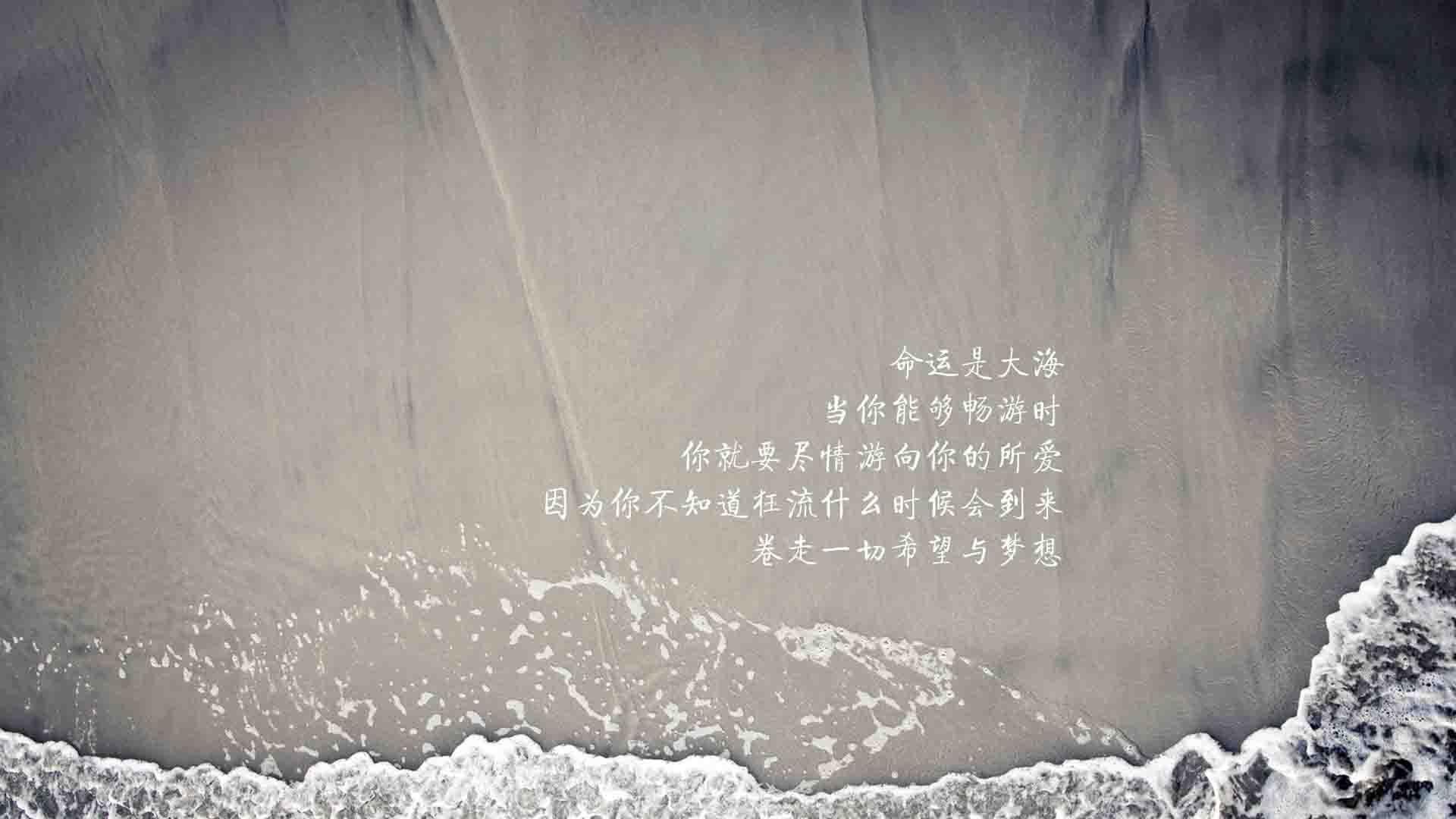 爱游戏-巴西骑手安娜·卡塔琳娜在巴黎奥运会障碍赛中获得铜牌，表现出色。