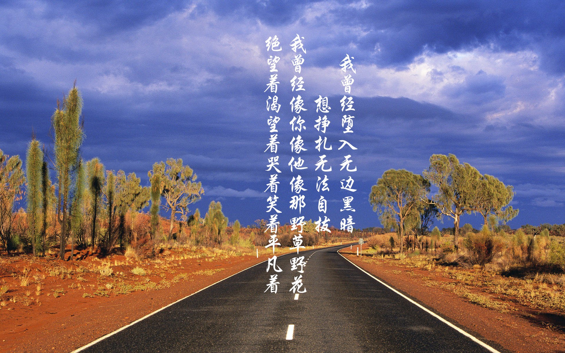 亚洲精英球队集结，备战重要赛事，亚洲足球俱乐部比赛