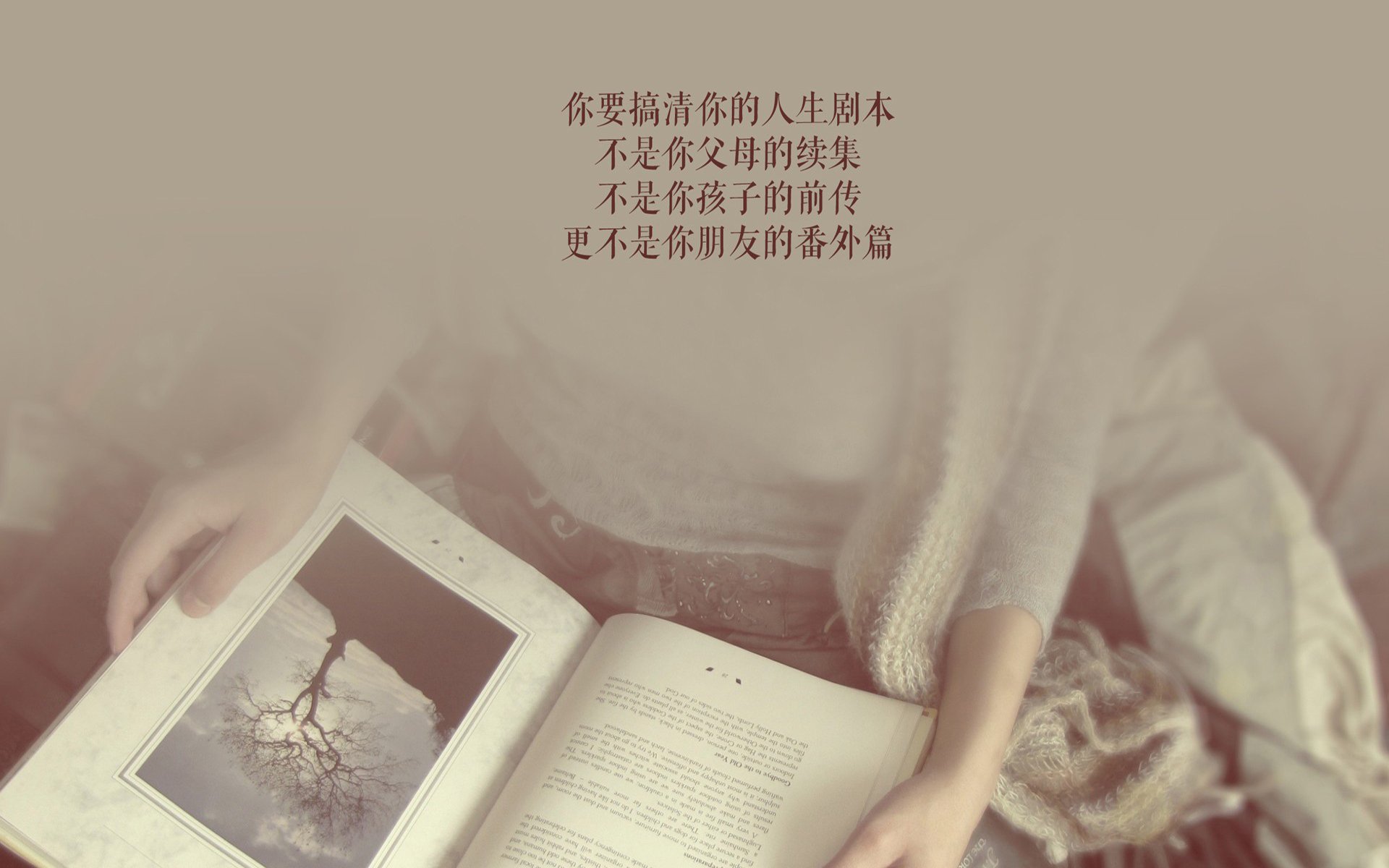 全场排球全明星赛战术对比，排球全能球员