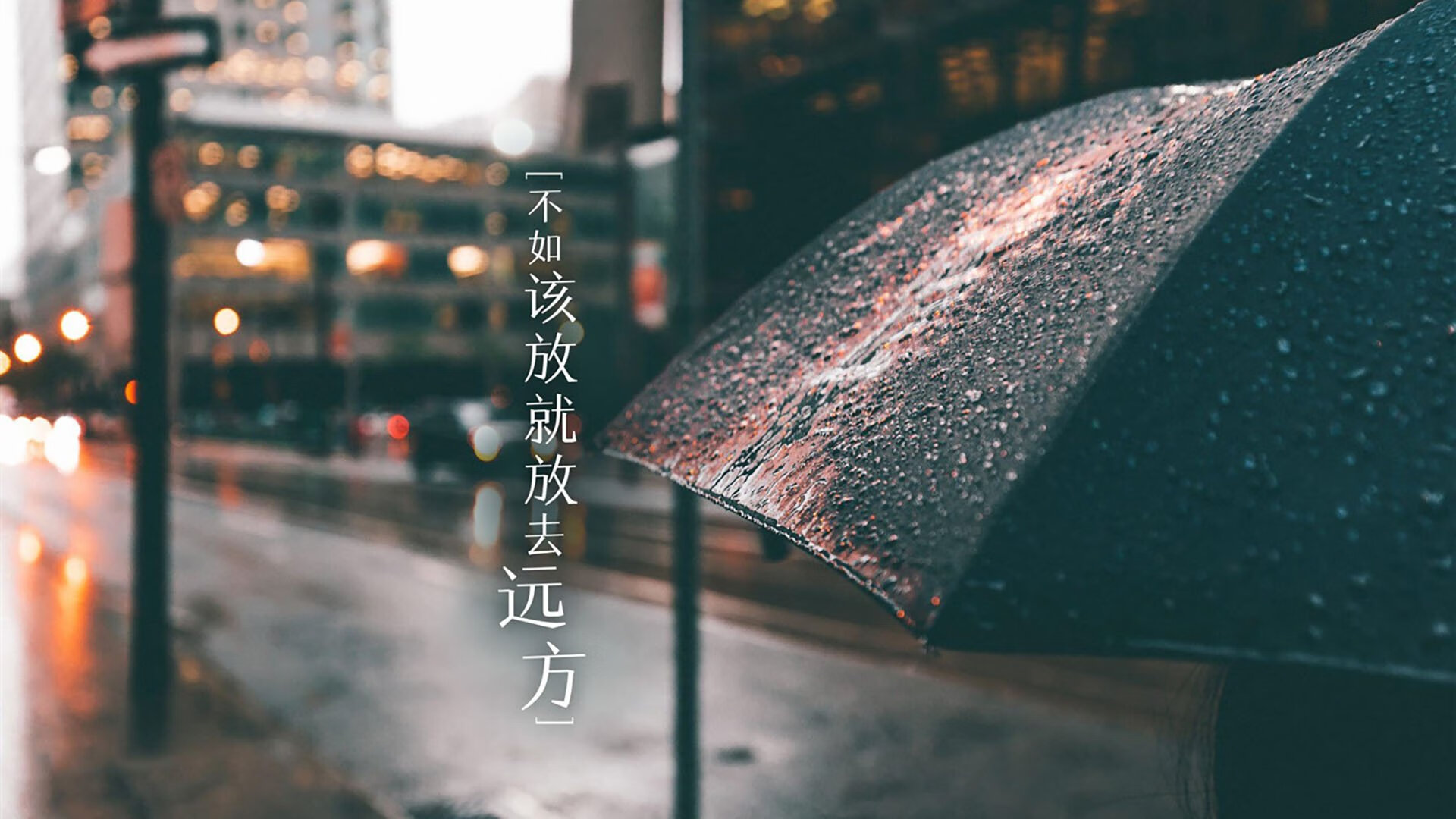 选手训练计划公开透明，选手训练计划公开透明模板
