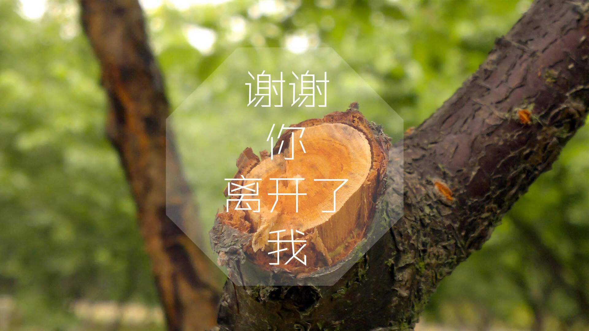 中超比赛节奏控制球员作用分析，中超调节费新政