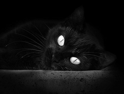 罗马尼亚队展现高水平竞技状态，国际乒联混合团体世界杯分析，罗马尼亚乒乓球名将