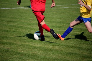 AYX体育官网-国家女篮训练日程公开每日训练内容紧张高效，国家队女篮在哪里训练