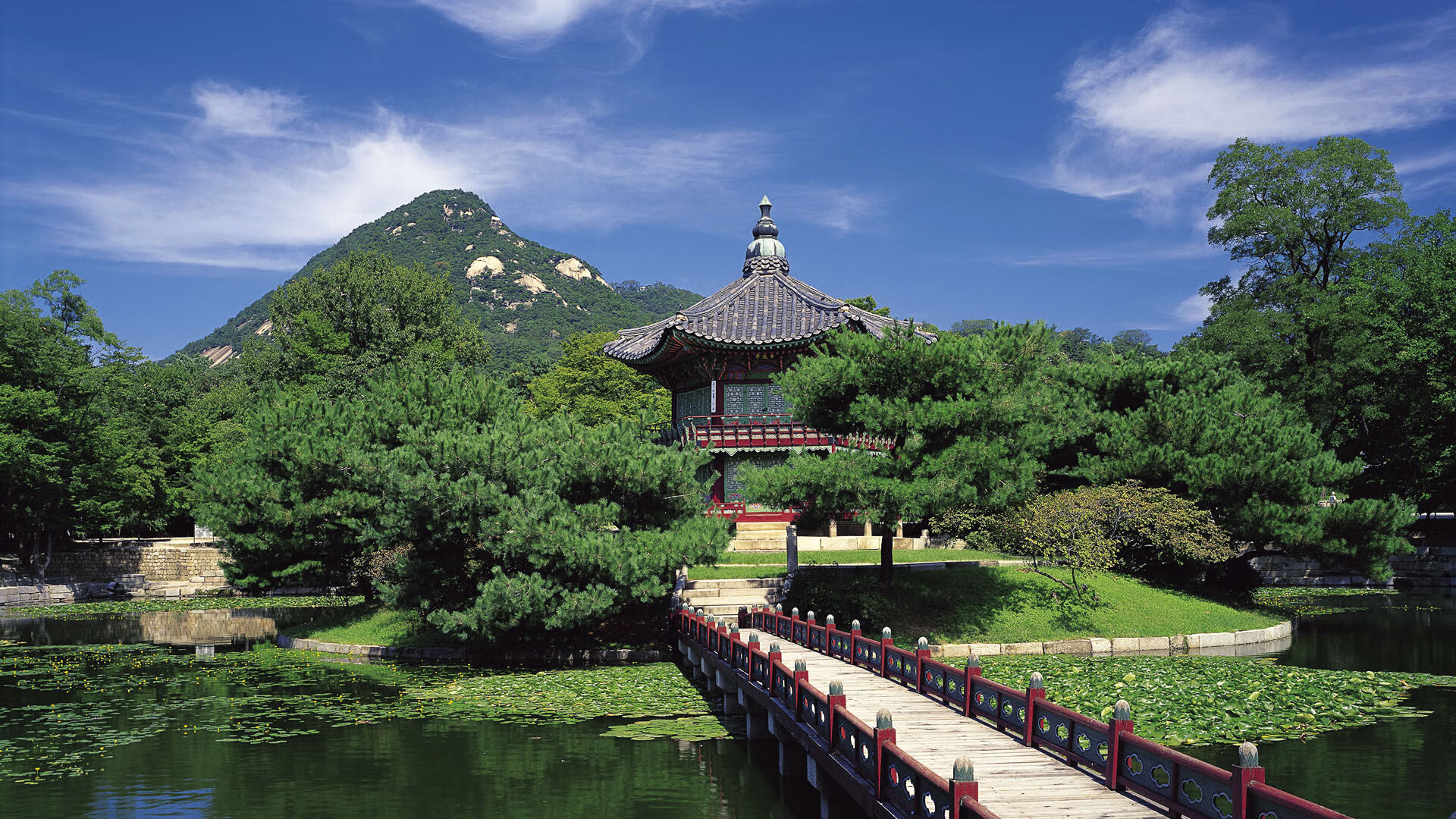 法甲未来巨星:新秀崛起,未来可期!,法甲潜力球员