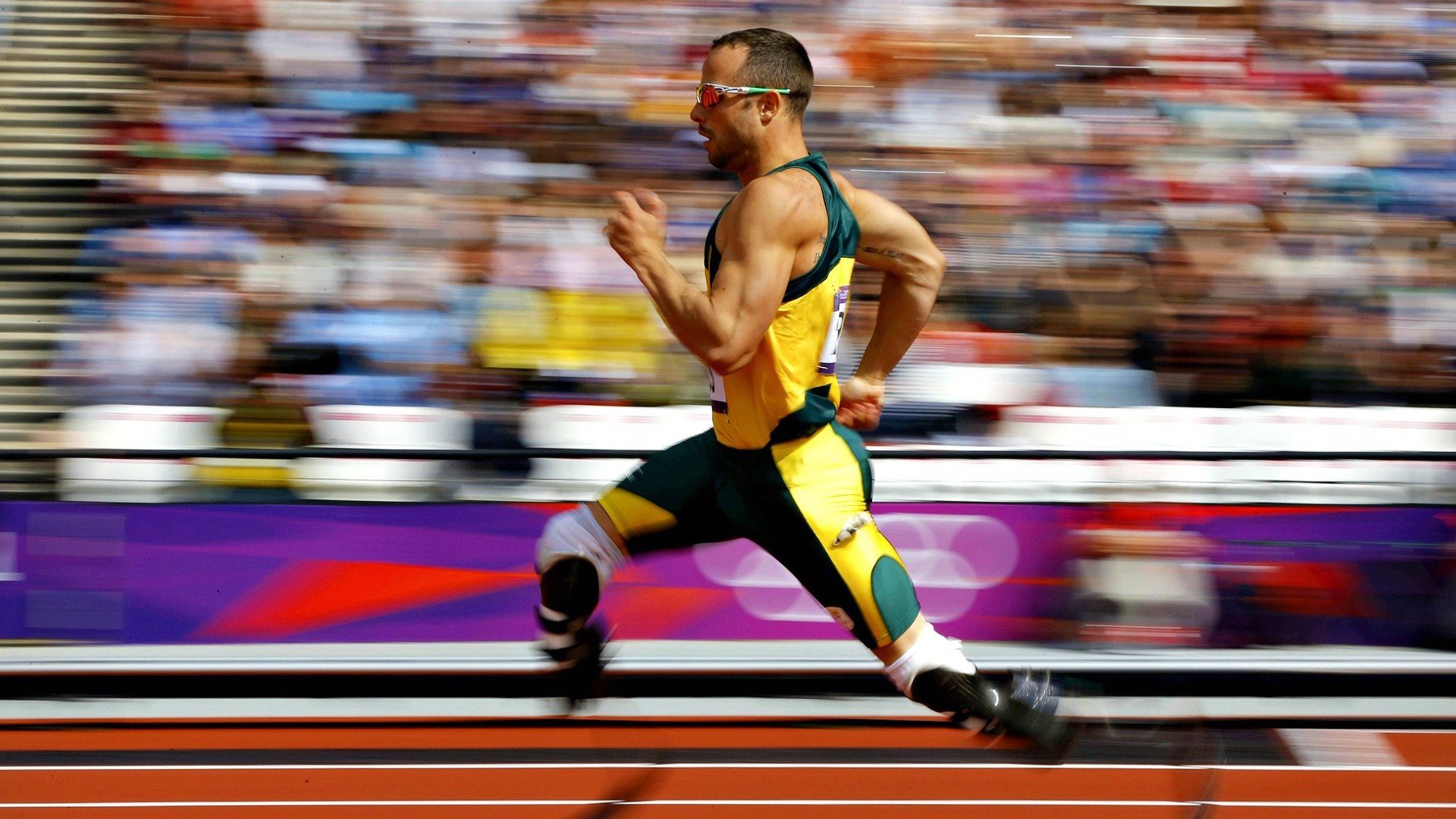 区域体育发展与城乡融合战略联动分析，区域体育一体化发展